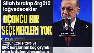 Cumhurbaşkanı Erdoğan: Terör örgütü için yolun sonu görünüyor 